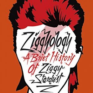 Ziggyology: A Brief History of Ziggy Stardust