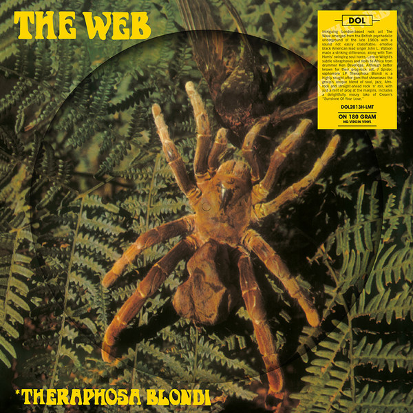 The Web - Theraphosa Blondi The Web - Theraphosa Blondi