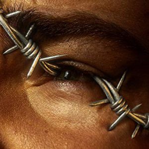 Post Malone - Beerbongs & Bentleys [2LP]