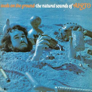 Airto Moreira - Seeds On The Ground - The Natural Sounds Of Airto - Vinyl