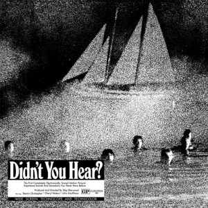 ?Mort Garson - Didn't You Hear