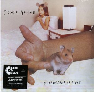 Sonic Youth - A Thousand Leaves