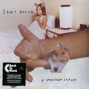 Sonic Youth - A Thousand Leaves