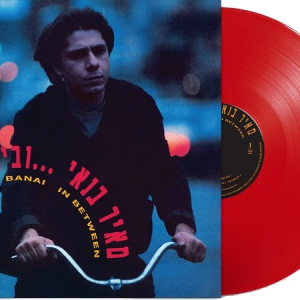 מאיר בנאי – וביניהם