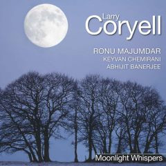 Larry Coryell - Moonlight Whispers