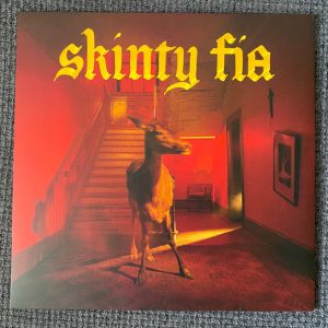Fontaines D.C. - Skinty Fia