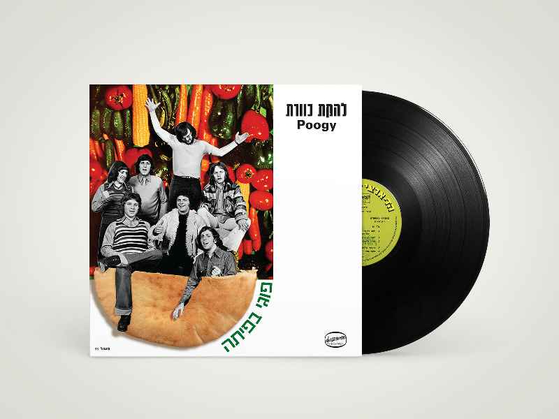 כוורת - פוגי בפיתה – תמונה 2