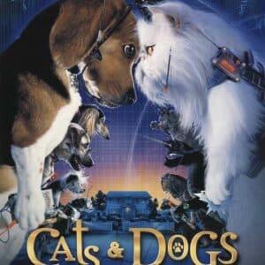 כלבים נגד חתולים | Cats & Dogs