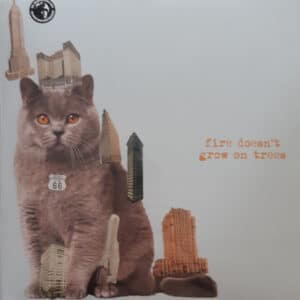 The Brian Jonestown Massacre - Fire Doesn't Grow On Trees