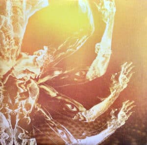 Tool - Fear Inoculum [3LP]