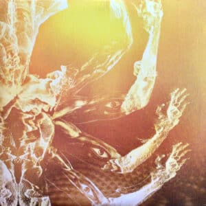 Tool - Fear Inoculum