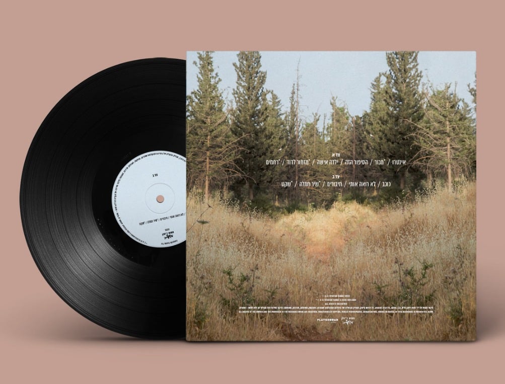 אביתר בנאי - החיים מתחילים לנגן – תמונה 2