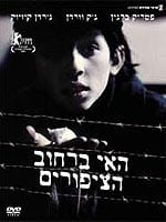 האי ברחוב הציפורים