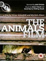Animals Film