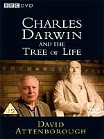 Charles Darwin And The Tree Of Life