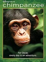 Chimpanzee