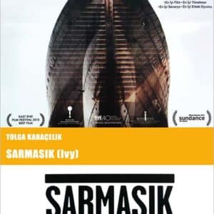 Ivy (Sarmasik)