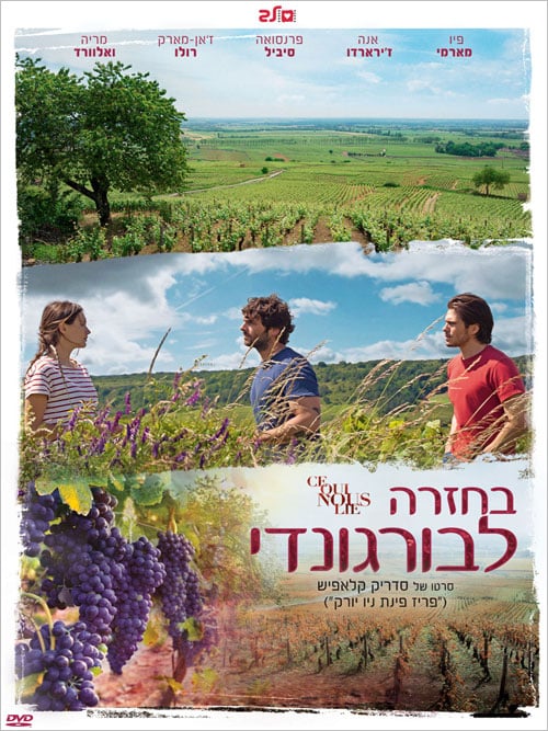 בחזרה לבורגונדי