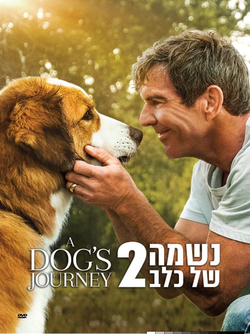 נשמה של כלב 2