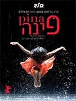 פינה (2011)