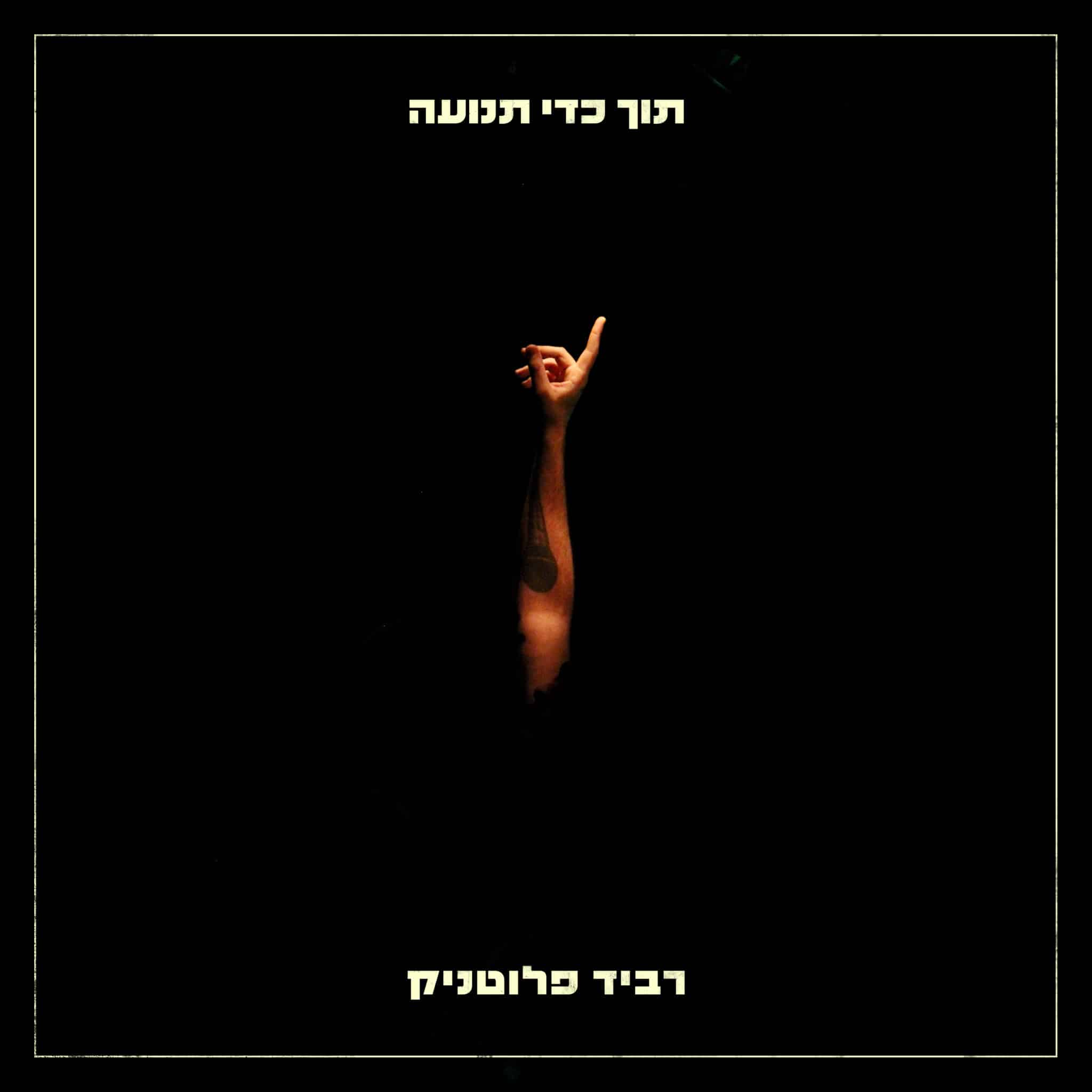 רביד פלוטניק - תוך כדי תנועה