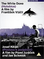 White Dove / Josef Kilian