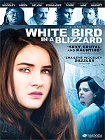 White Bird In A Blizzard