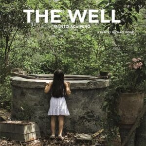 Well (2013)