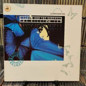 Siouxsie And The Banshees – The Killing Jar