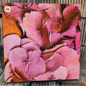 Still Life – Still Life