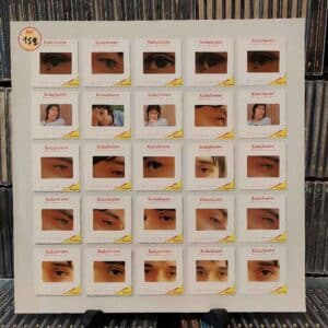 John Cale – The Academy In Peril