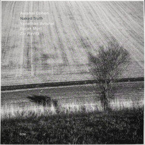 Avishai E. Cohen - Naked Truth