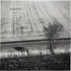 Avishai E. Cohen - Naked Truth