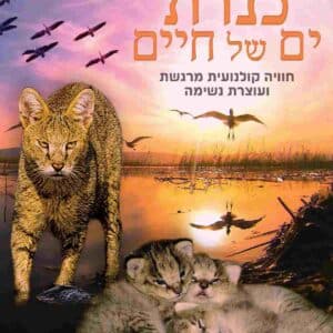 כנרת: ים של חיים | Kinneret: Sea of Life