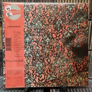 Jaimie Branch – Fly Or Die Live