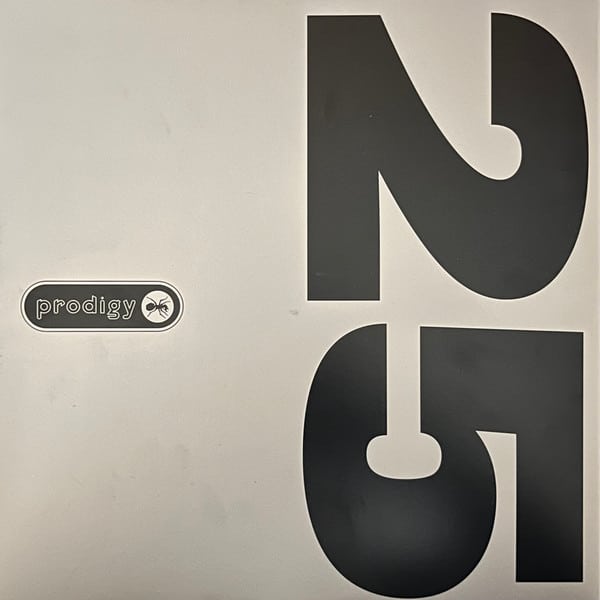 The Prodigy - The Fat Of The Land (25TH Anniversary) – תמונה 6