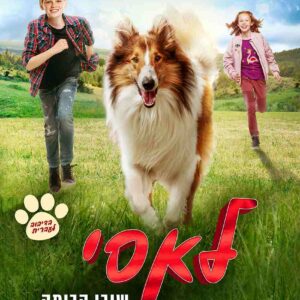 לאסי שובי הביתה | לאסי שובי הביתה