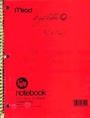 Kurt Cobain: Journals