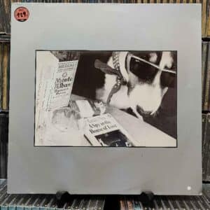 The House Of Love – A Spy In The House Of Love