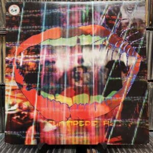 Animal Collective – Centipede Hz