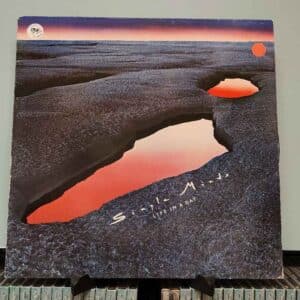 Simple Minds - Life In A Day