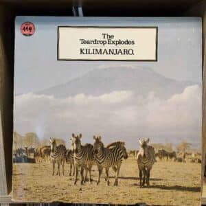 The Teardrop Explodes – Kilimanjaro
