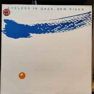 Eyeless In Gaza – New Risen