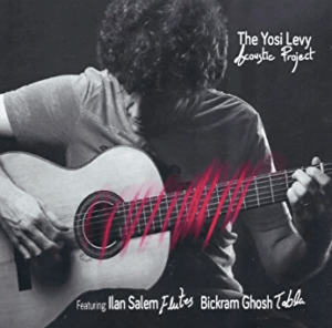 The Yosi Levy Acoustic project