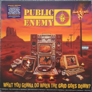 ?Public Enemy – What You Gonna Do When The Grid Goes Down