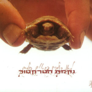 נקמת הטרקטור -  לאן הולכים פתאום כולם