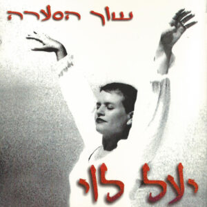 יעל לוי – שוך הסערה