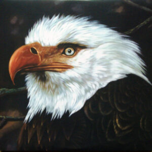 Mogwai - The Hawk Is Howling