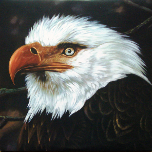 Mogwai - The Hawk Is Howling Mogwai - The Hawk Is Howling
