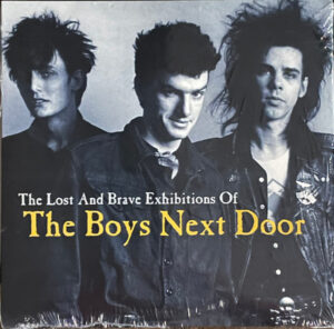 The Boys Next Door - The Lost & Brave Exhibitions Of...1977-1979